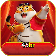 Logo da 45br